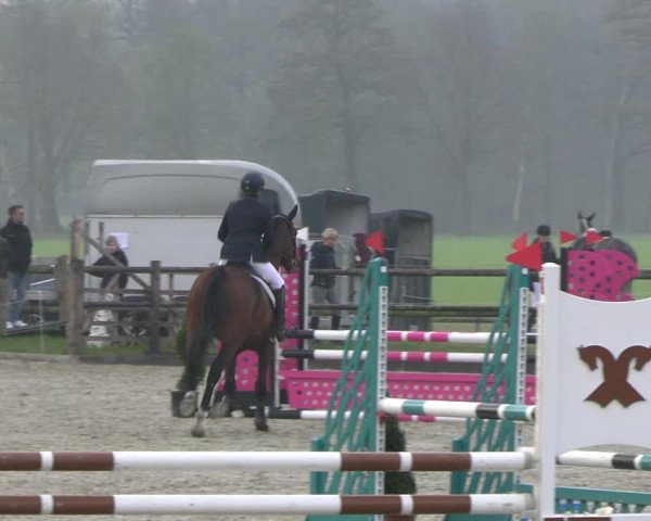 Reitturnier Diepholz 2023