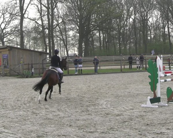 Reitturnier Diepholz 2023