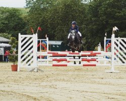 jumper Colliga Jackdaw (Connemara Pony, 2014, from Monaghanstown Barney)