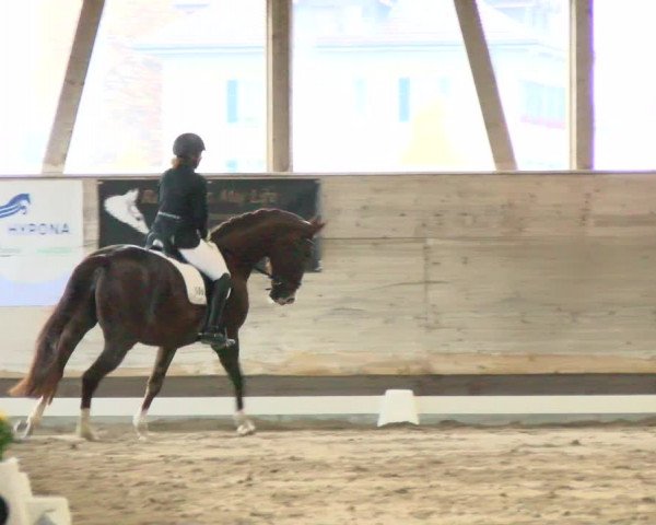 Reitturnier Urtenen-Schönbühl 2021