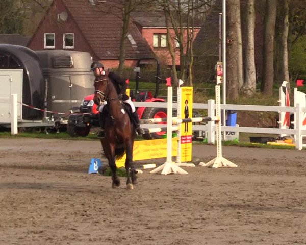 Reitturnier Mildstedt 2023