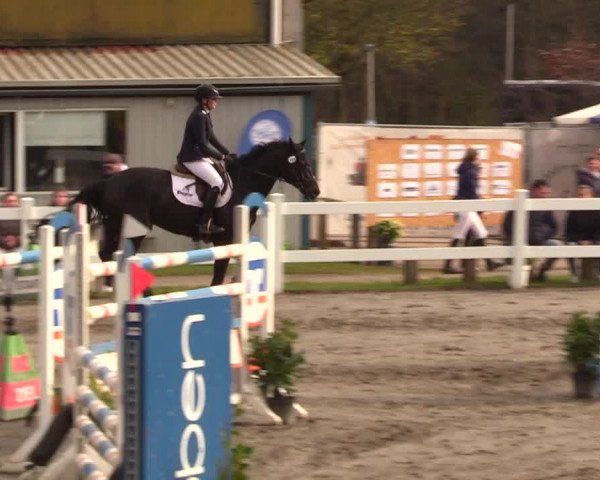 Reitturnier Mildstedt 2023