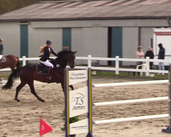 Reitturnier Mildstedt 2023