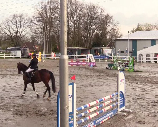 Reitturnier Mildstedt 2023