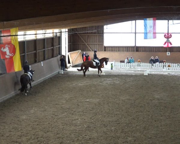 Reitturnier Scharnebeck 2021