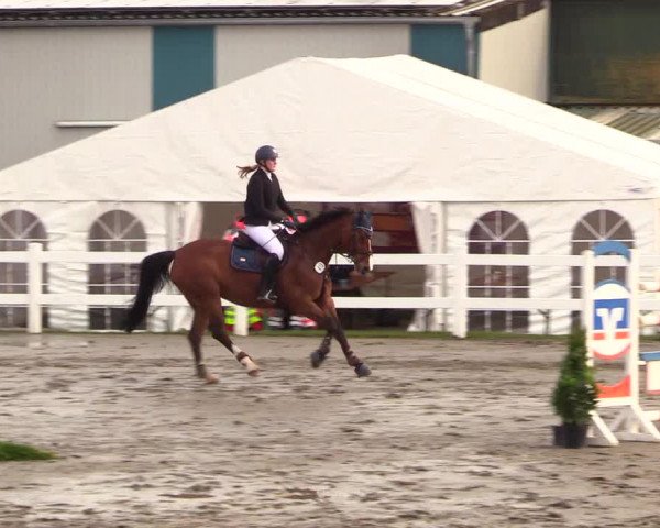 Reitturnier Mildstedt 2023
