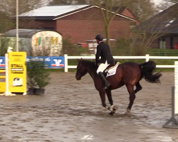Reitturnier Mildstedt 2023
