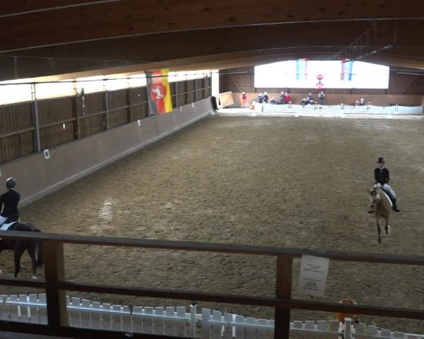 Reitturnier Scharnebeck 2021