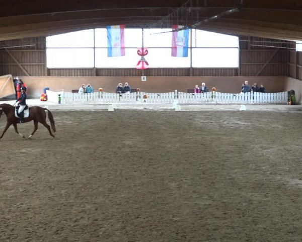 Reitturnier Scharnebeck 2021