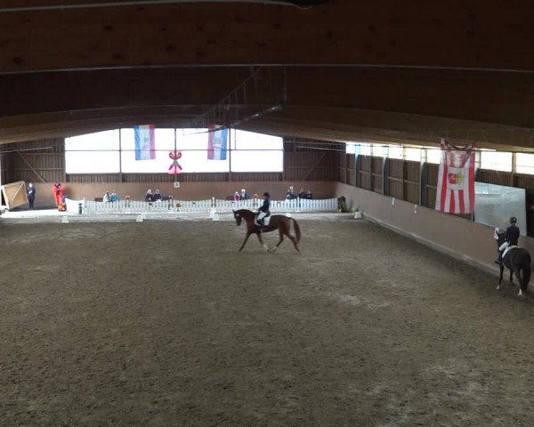 Reitturnier Scharnebeck 2021