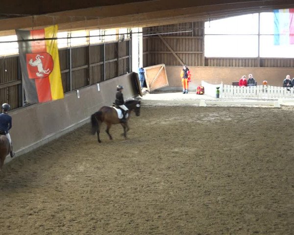 Reitturnier Scharnebeck 2021