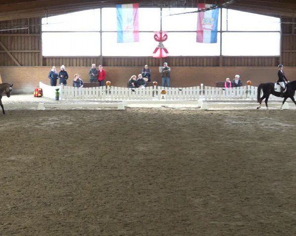 Reitturnier Scharnebeck 2021