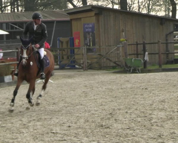 Reitturnier Diepholz 2023