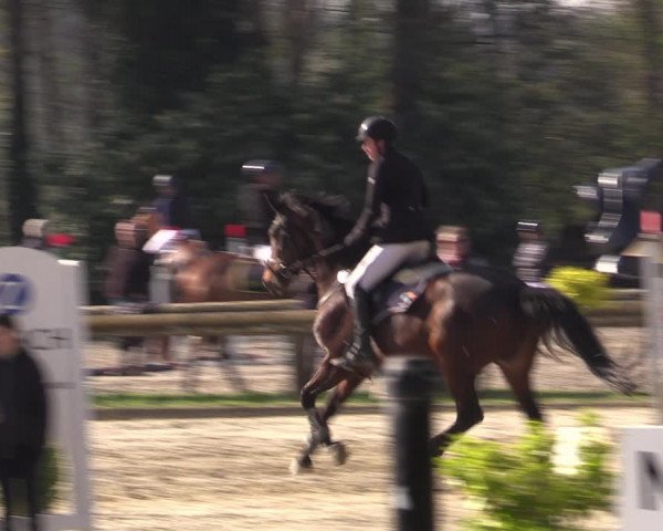 Reitturnier Rhede 2023