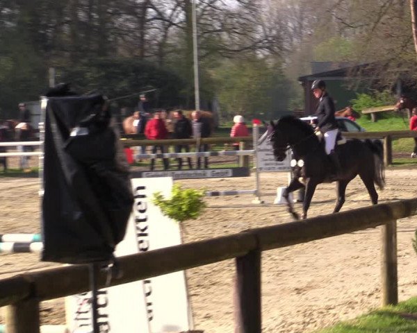Reitturnier Rhede 2023