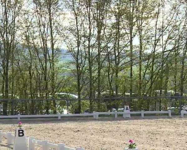Reitturnier Landenhausen 2023
