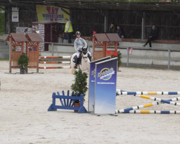 Reitturnier Ingolstadt-Hagau/Obb. 2023