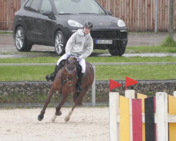 Reitturnier Ingolstadt-Hagau/Obb. 2023