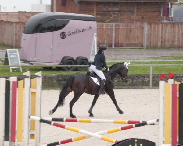 Reitturnier Ingolstadt-Hagau/Obb. 2023