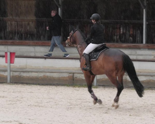 Reitturnier Ingolstadt-Hagau/Obb. 2023