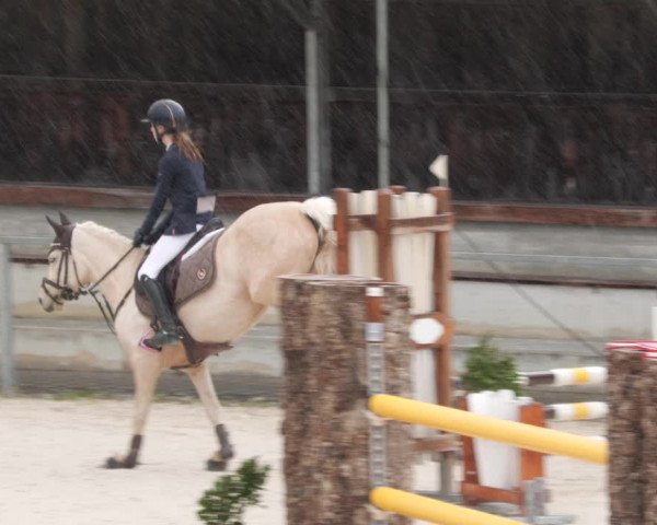 Reitturnier Ingolstadt-Hagau/Obb. 2023