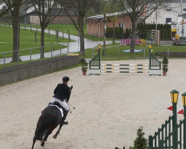 Reitturnier Ingolstadt-Hagau/Obb. 2023