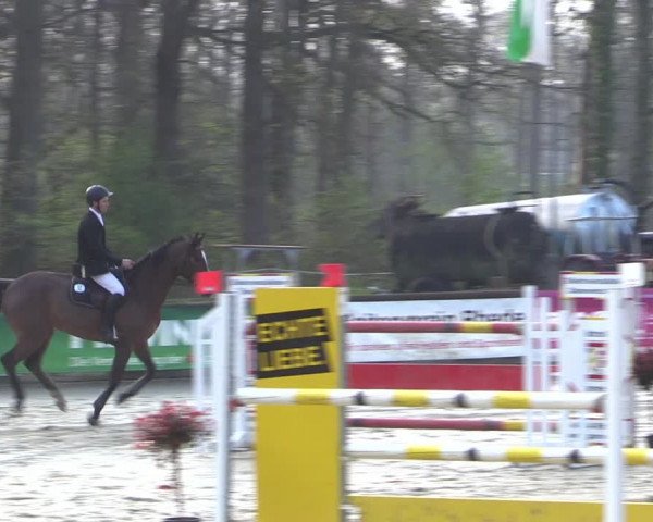 Reitturnier Rhede 2023