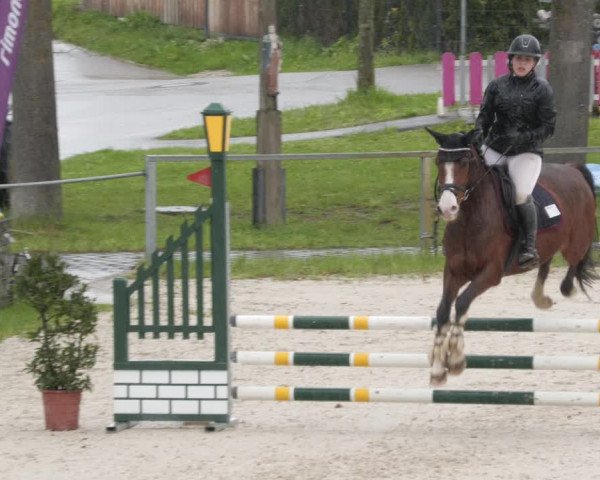 Reitturnier Ingolstadt-Hagau/Obb. 2023
