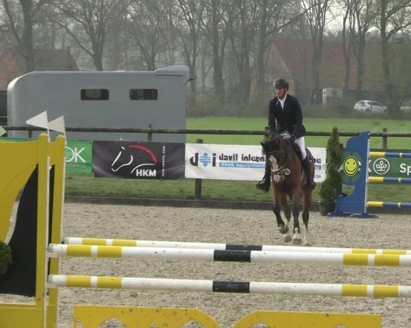 Reitturnier Diepholz 2023