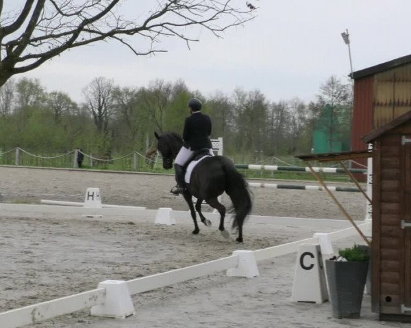 Reitturnier Handorf 2023