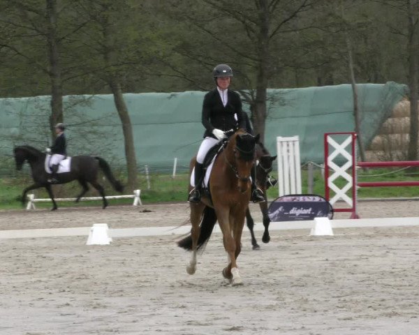 Reitturnier Handorf 2023