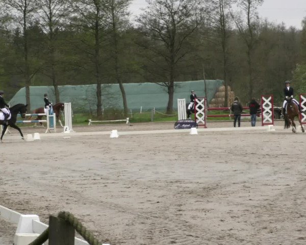 Reitturnier Handorf 2023