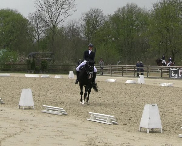 Reitturnier Nienberge 2023