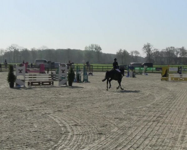 Reitturnier Diepholz 2023
