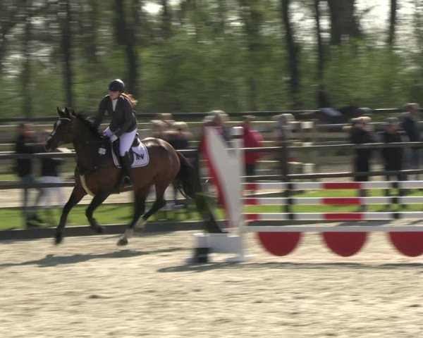 Reitturnier Diepholz 2023
