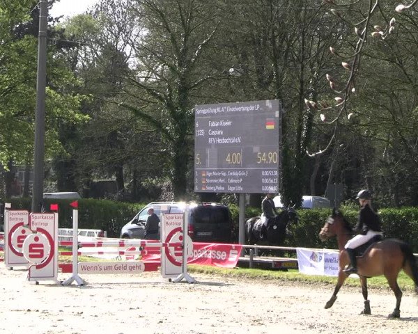 Reitturnier Bottrop 2023
