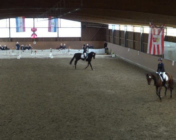 Reitturnier Scharnebeck 2021