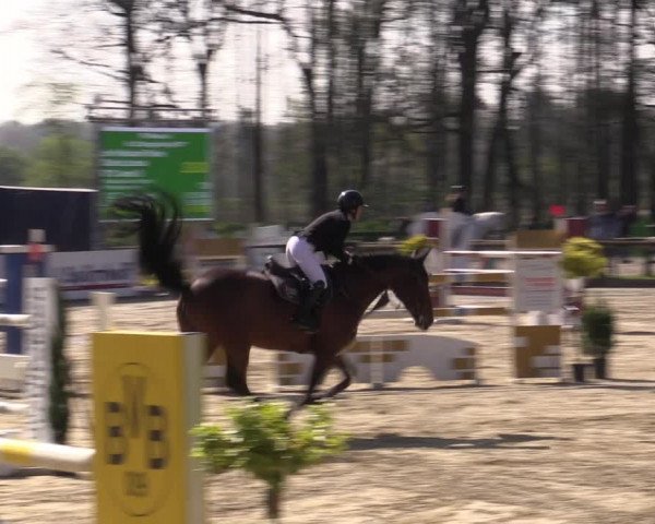 Reitturnier Rhede 2023