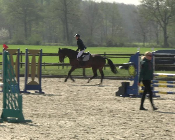 Reitturnier Diepholz 2023