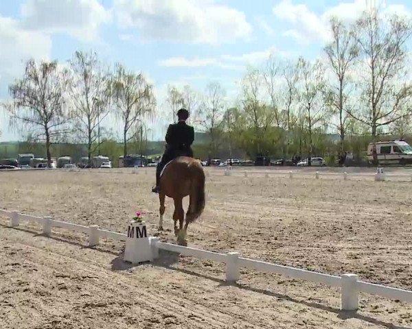 Reitturnier Landenhausen 2023