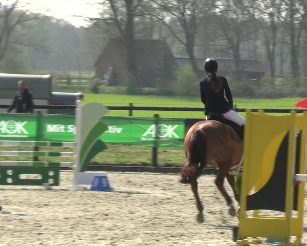Reitturnier Diepholz 2023