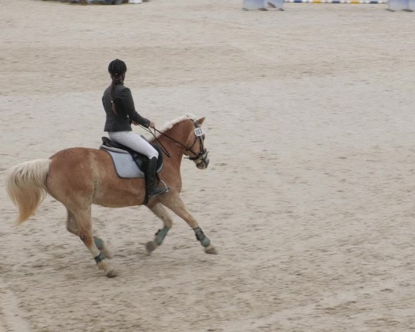 Reitturnier Ingolstadt-Hagau/Obb. 2023
