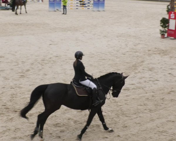 Reitturnier Ingolstadt-Hagau/Obb. 2023