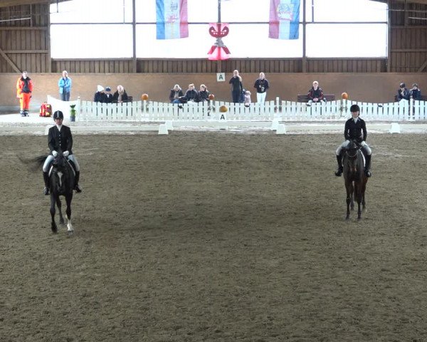 Reitturnier Scharnebeck 2021