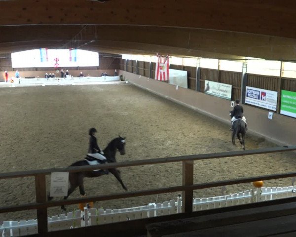Reitturnier Scharnebeck 2021