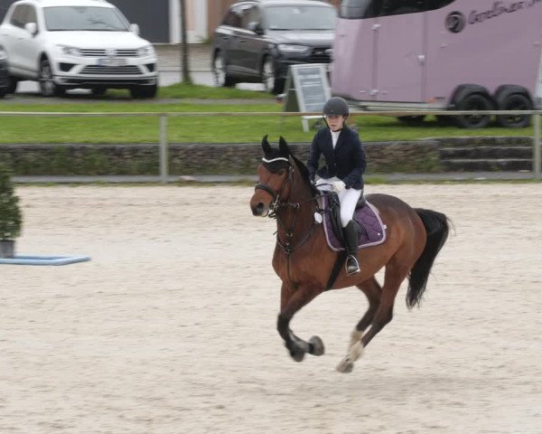 Reitturnier Ingolstadt-Hagau/Obb. 2023