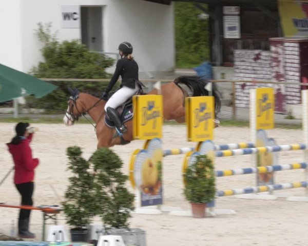 Reitturnier Ingolstadt-Hagau/Obb. 2023