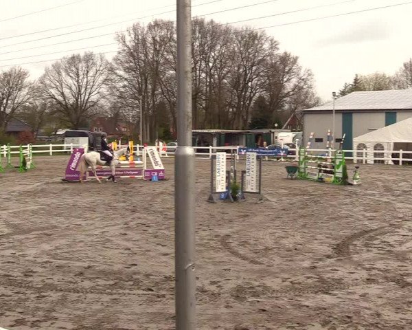 Reitturnier Mildstedt 2023