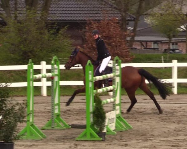 Reitturnier Mildstedt 2023