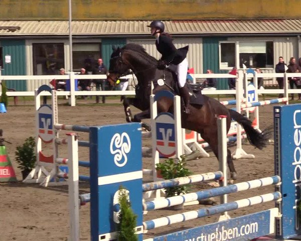Reitturnier Mildstedt 2023